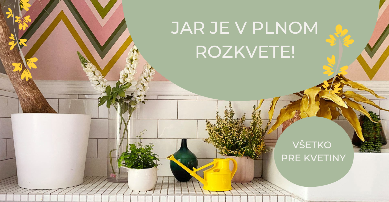 Rastliny jar