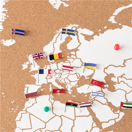 Pripináčiky na korkové mapy – vlajky Európy