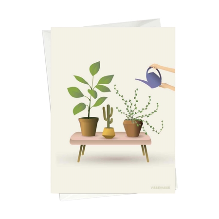 Darčekové želanie – izbové rastliny