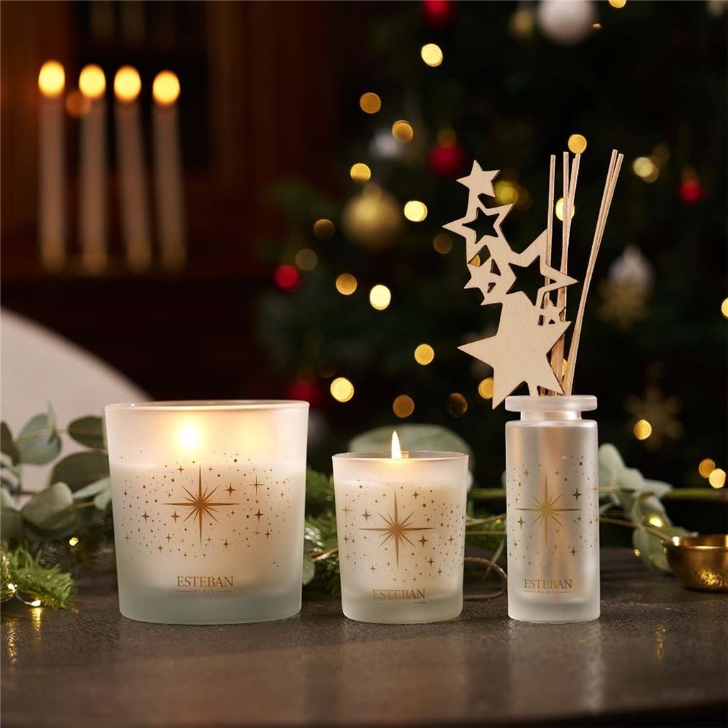 Tyčinkový difuzér Exquisite Fir