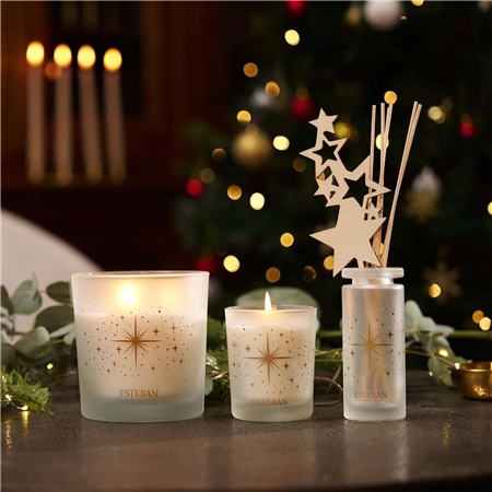 Tyčinkový difuzér Exquisite Fir
